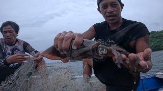 Sa subrang lakas NG bagyo nagsidagsaan Ang pusit lumot | Bryan Fishing Tv