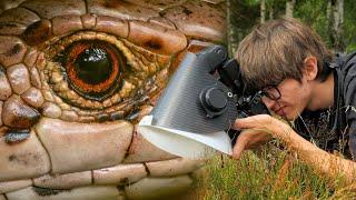 Exploring a New Habitat for Macro Photography - Macro Walks ep4