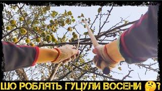 ОДИН ДЕНЬ ІЗ ЖИТТЯ ГУЦУЛІВ ВОСЕНИ! ЩО РОБЛЯТЬ ГУЦУЛИ. СЕЗОН ЗБОРУ УРОЖАЮ 2020. Фільм 2. ВЛОГ
