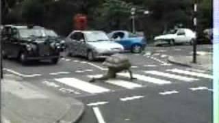 Trigger Happy TV - Tortoise & Rabbit at a Zebra Crossing