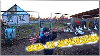 День по деревенски! Дневник дня / СЕМЬЯ В ДЕРЕВНЕ