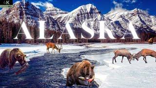 Alaska in 4K | Majestic Wildlife & Stunning Landscapes with Relaxing Nature Sounds