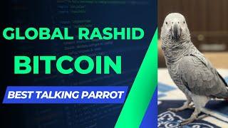 Parrot Talking - Bitcoin - Global Rashid | African Grey Parrot Talking #shorts