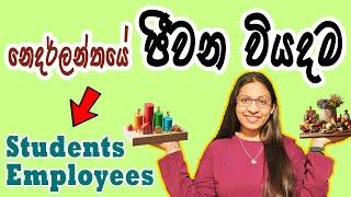 නෙදර්ලන්තයේ ජීවන වියදම | Living Costs in the Netherlands for students, employees and families