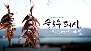 [다큐] 슬로우피쉬, 말린생선의 비밀 by KBS목포