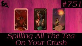 Pick A Card Tarot - Spilling All The Tea On Your Crush ️