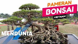 INSPIRASI BONSAI | PAMERAN BONSAI VIETNAM MENDUNIA YANG MENGINSPIRASI