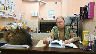 Арницане Инара Яновна