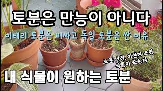 토분으로 식물을 안 죽이려면