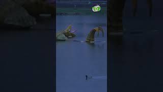 Un serpent de mer  : #découverte dans un #lac des #vosges