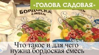 Голова садовая - Что такое и для чего нужна бордоская смесь