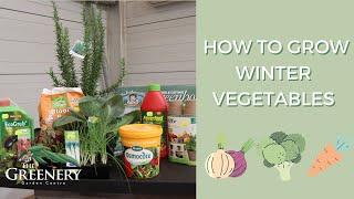 Growing Winter Vegetables | The Greenery Garden & Home