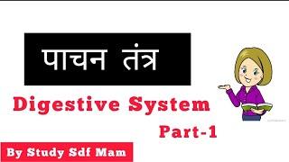 Digestive System | पाचन तंत्र | Part -1 By Study Light Sd