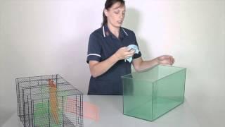 Accommodation: How to prepare a gerbil enclosure 2