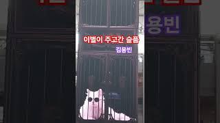 #이별이주고간슬픔 #김용빈 미스터트롯3 #트롯천재 #트롯 #트로트 #조대석tv #shorts