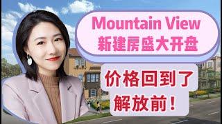 Mountain View新建房，开盘价格竟然回到解放前！