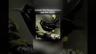 Animals That Went Extinct  #shorts #viral #fypシ #earth #nature #trending #animals