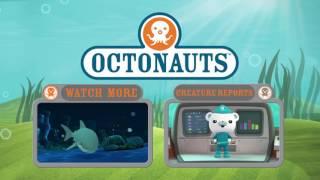 Octonauts: Gup I Close Up