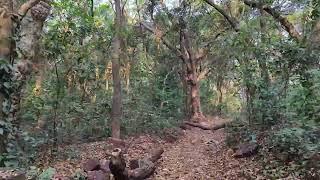 MATHERAN - WAY TO MALDUNGA POINT