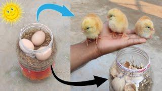 How to hatch eggs at home without incubator // Incubator plastic box help sunlight 100% result