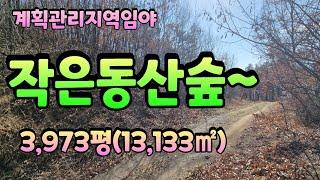 매물번호 0777 임야매매 나즈막한 계획관리지역 영천임야소개합니다