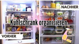 Kühlschrank organisieren  | Organizing Tipps | Umgestalten |