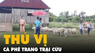 Cà phê trang trại cừu ở miền Tây thu hút khách gần xa