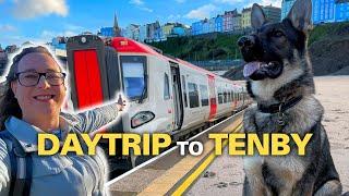 I Took My Dog to Tenby on a Transport for Wales Adventure!