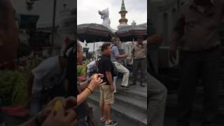 泰国著名旅游胜地 欺负华人