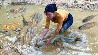 Harvest a school of fish on the dike, catch and bring to the market to sell.