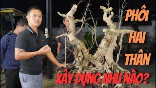 Xây dựng cốt phôi nên làm nhưng gì thiết kế như nào? Chia sẻ kinh nghiệm | NamLe Bonsai