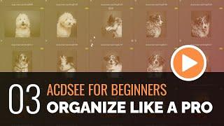 ACDSee for Beginners - 03 - Organize Like a Pro with Manage Mode