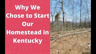 Why We are Homesteading and Decided to Buy Land in Kentucky!