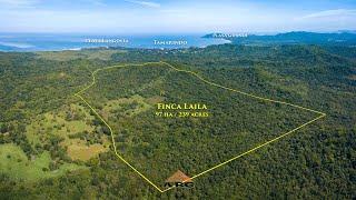 Finca Laila – Huge Development Property near Tamarindo (Costa Rica)