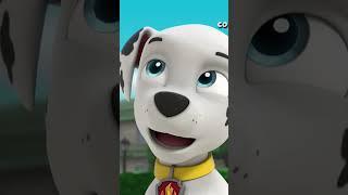 Marshall having a hard time choosing treats - Paw patrol