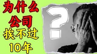 创业逆思维 | 初创公司为什么终是度不过十年？| 老板们看过来