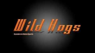 Wild Hogs Scooters | Boca Raton