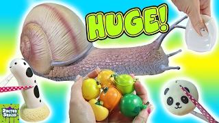 What's Inside Huge Squishy Snail Toy! Snail Slime! Homemade Squeeze Toy