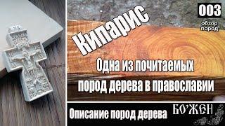 Описание породы дерева  Кипарис  Нательный крест