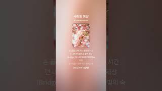 [SUNO] 사랑의 봄날(blossom for you)