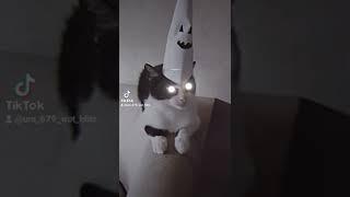 хэллоуин #рекомендации #хэллоуин #шортс #shorts#кот