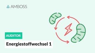 Energiestoffwechsel Teil 1 -- Woher bezieht der Körper seine Energie? -- AMBOSS Auditor