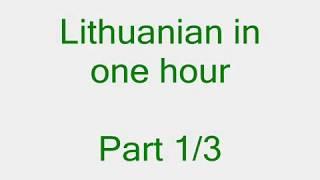 Lithuanian in 1 hour. Part 1/3. Anglų lietuvių kalbos pamokos kursas.