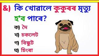 Interesting Gk in Assamese । Assam Competitive Exams । Assamese Quiz । Borah Study ।