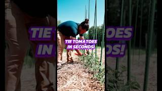 Tired of Wasting Time In The Garden? 