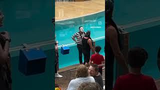 Eryka travel #erykabadu #2025shorts #viralvideo #comedy