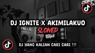 DJ IGNITE X AKIMILAKUO SLOWED SOUND Felix ft 𝗔𝗣 VIRAL TIK TOK TERBARU 2024 !!!