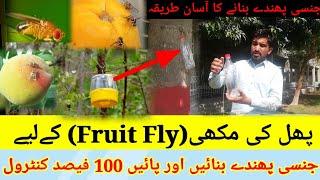 World greatest fruit fly trap || home made fruit fly trap || use of methyl eugenol