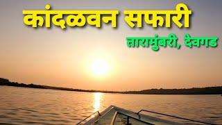 कोकणातील कांदळवन सफारी | तारामुंबरी, देवगड। Mangroves Safari in Devgad | Lungs of Sindhudurg