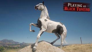 Playing as Black Tovero Fox Trotter HORSE in Red Dead Redemption 2  Horse Falls and Crashes in 4K